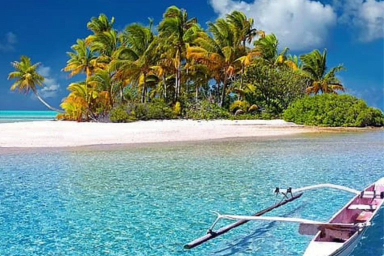 gallery-size-2023-08-01t134459-161