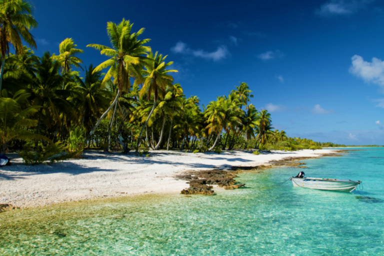 gallery-size-2023-08-01t134558-657