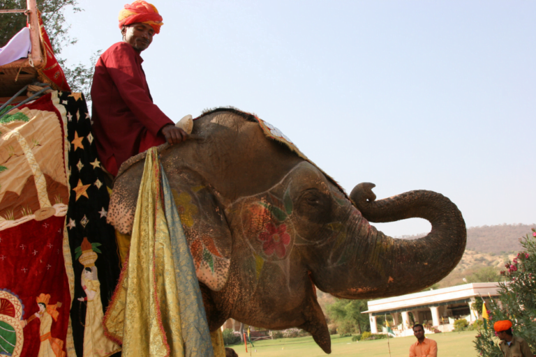 travel-web-cover-image-93