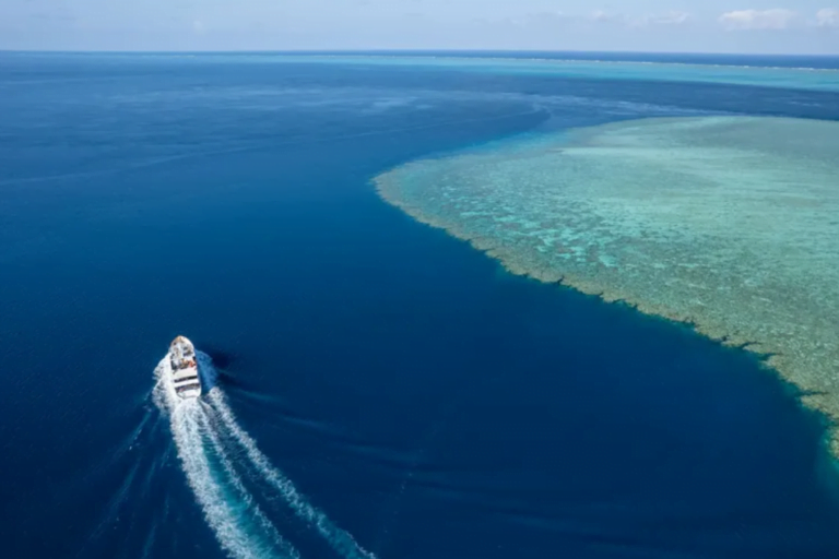 LiveAboard Australia