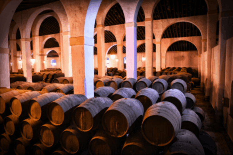 Bodega Fundador