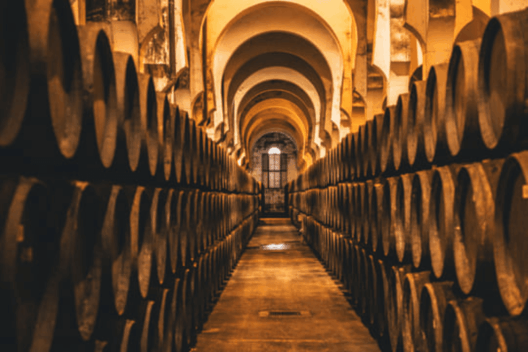 Bodega Fundador