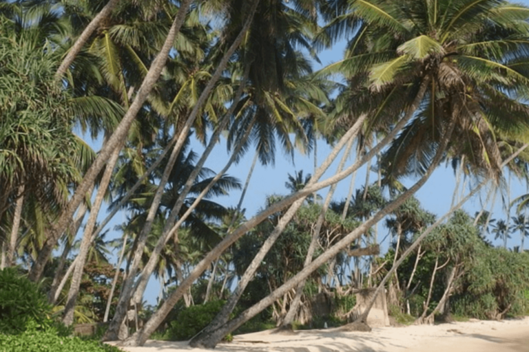 Sri Lanka