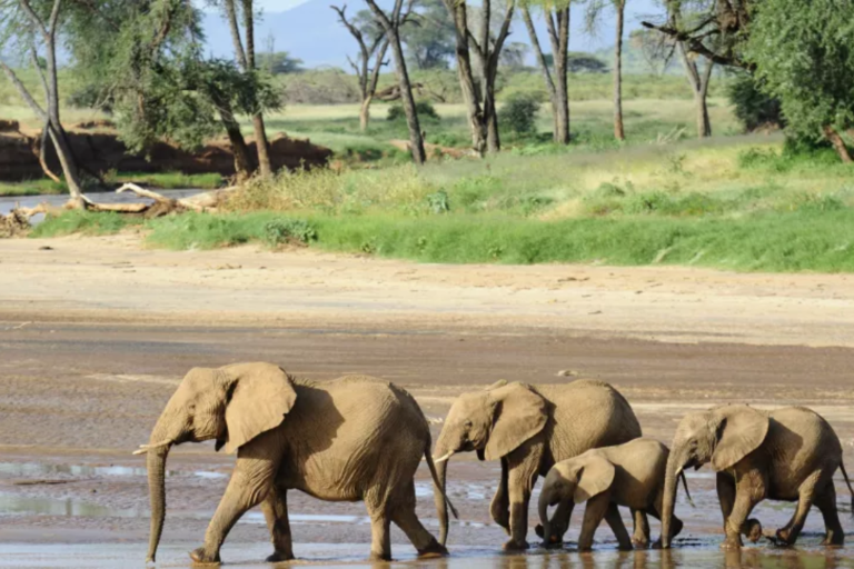 Kruger National Park.
