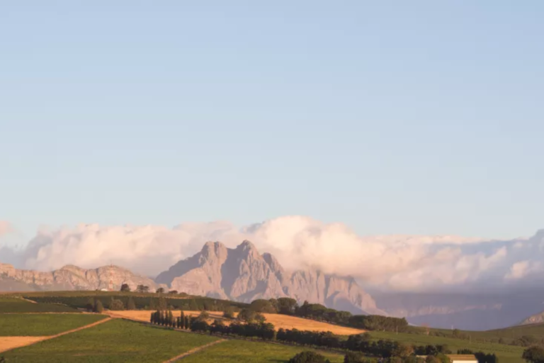 Winelands, South Africa