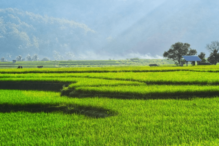 Bali