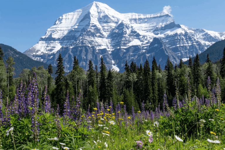 Mount Robson