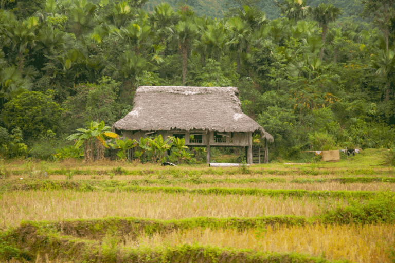 Khmer Rouge, Vietnam