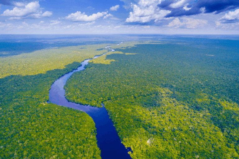 Amazon River