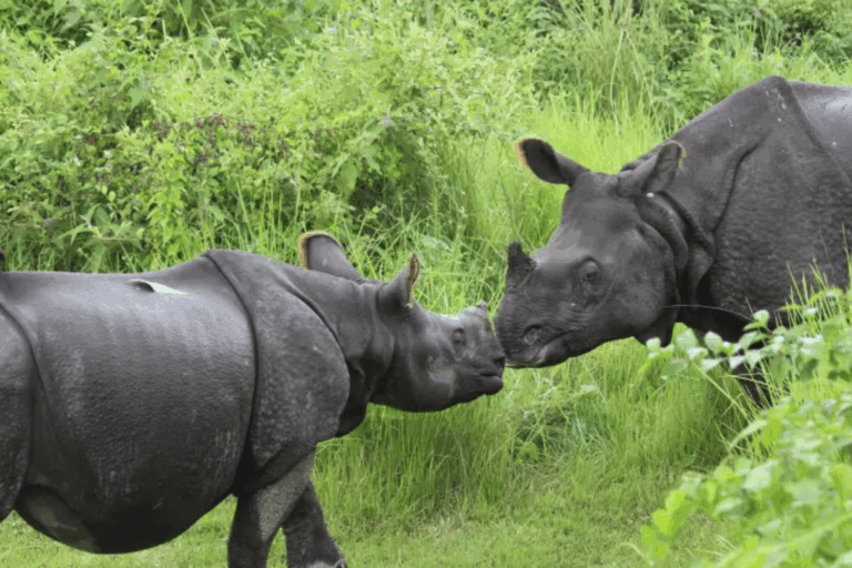 Chitwan National Park